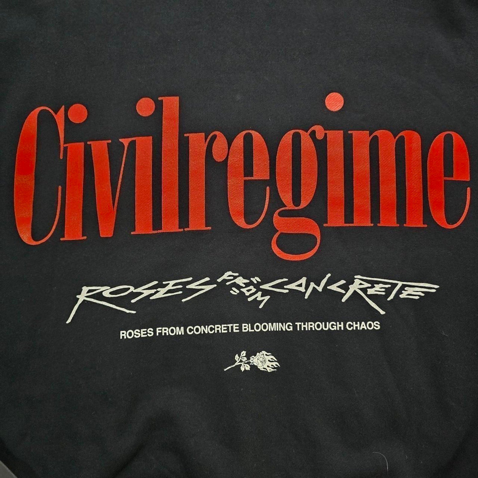 The Civil Regime Roses From Concrete Blooming Through Chaos