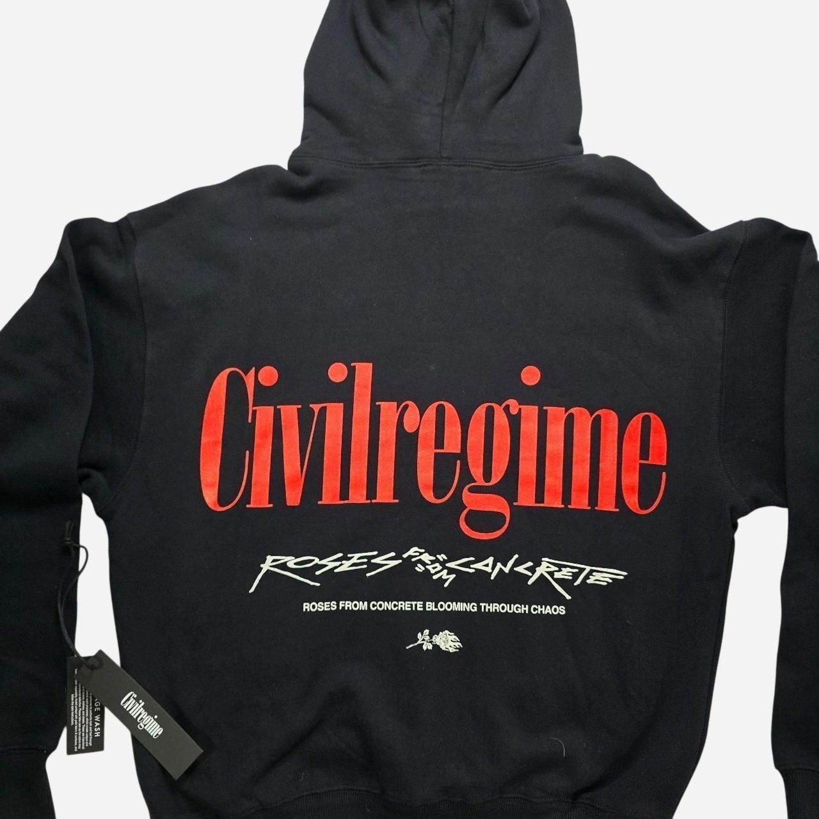 The Civil Regime Roses From Concrete Blooming Through Chaos